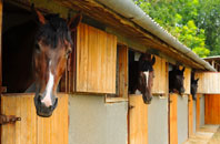 free Salthouse stable construction quotes